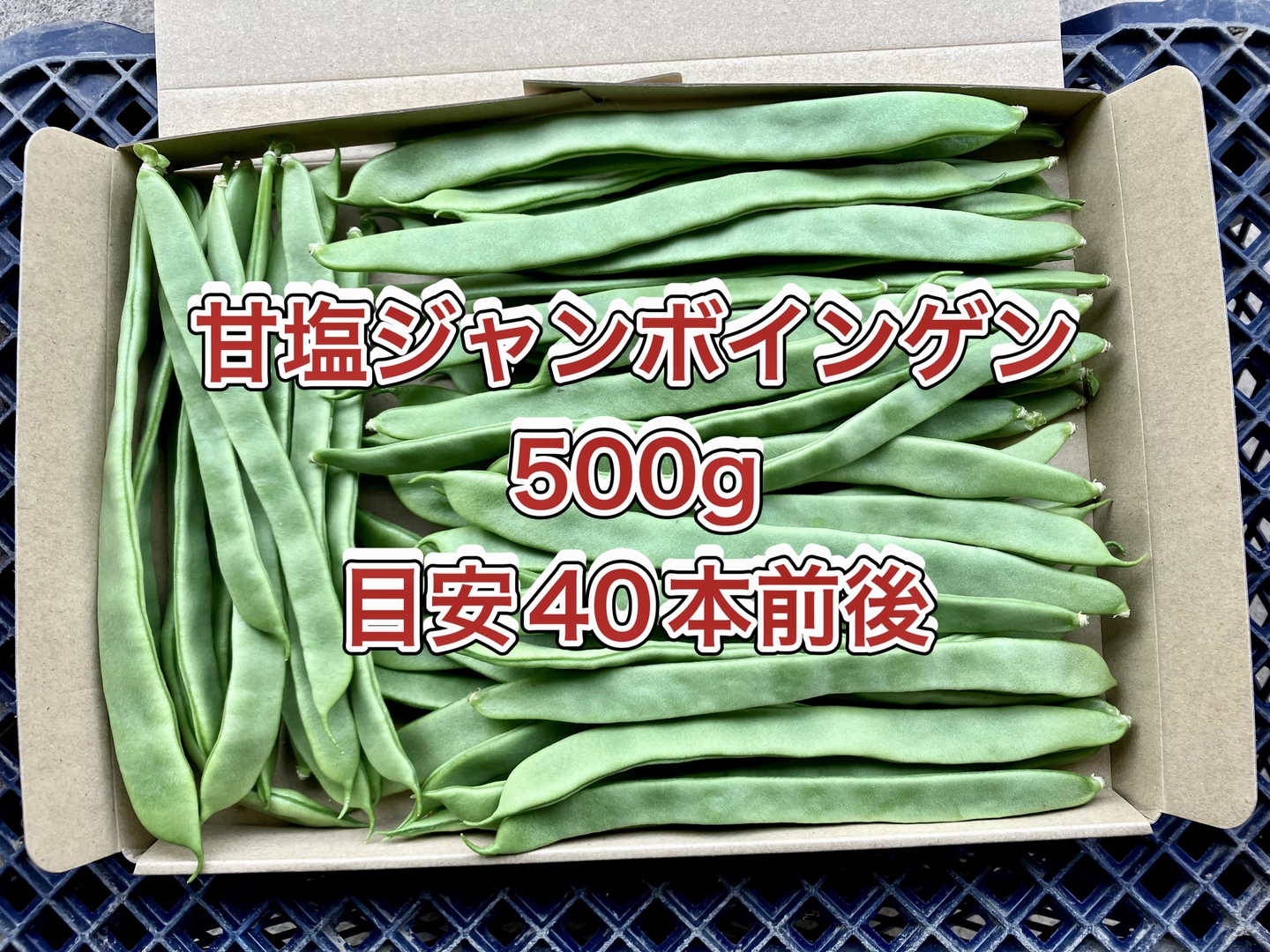23d8ffcf1eb76d6bc13674fc675600