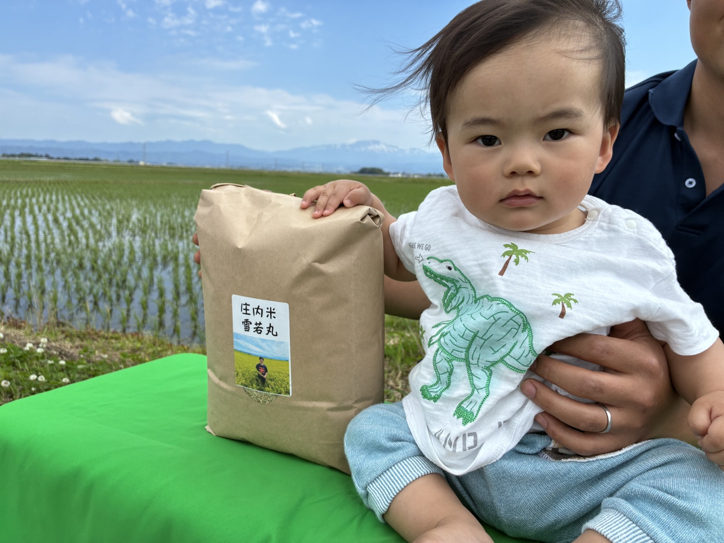 令和8年産米 大きい粒でとっても美味しい 雪若丸 玄米5キロ：山形県産