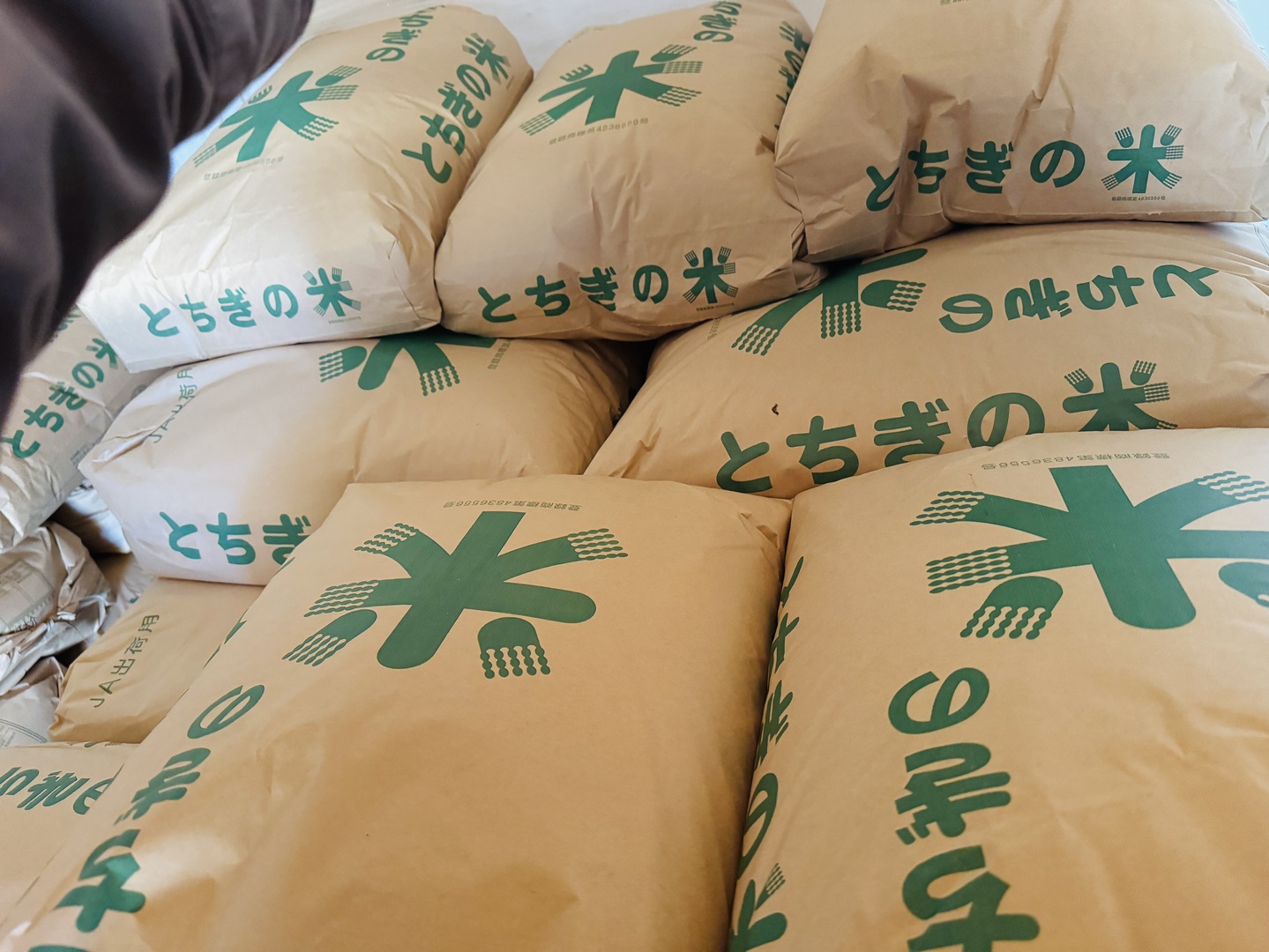 予約品]令和8年度新米コシヒカリ‼️玄米20kg🌾先行予約価格💰：栃木県