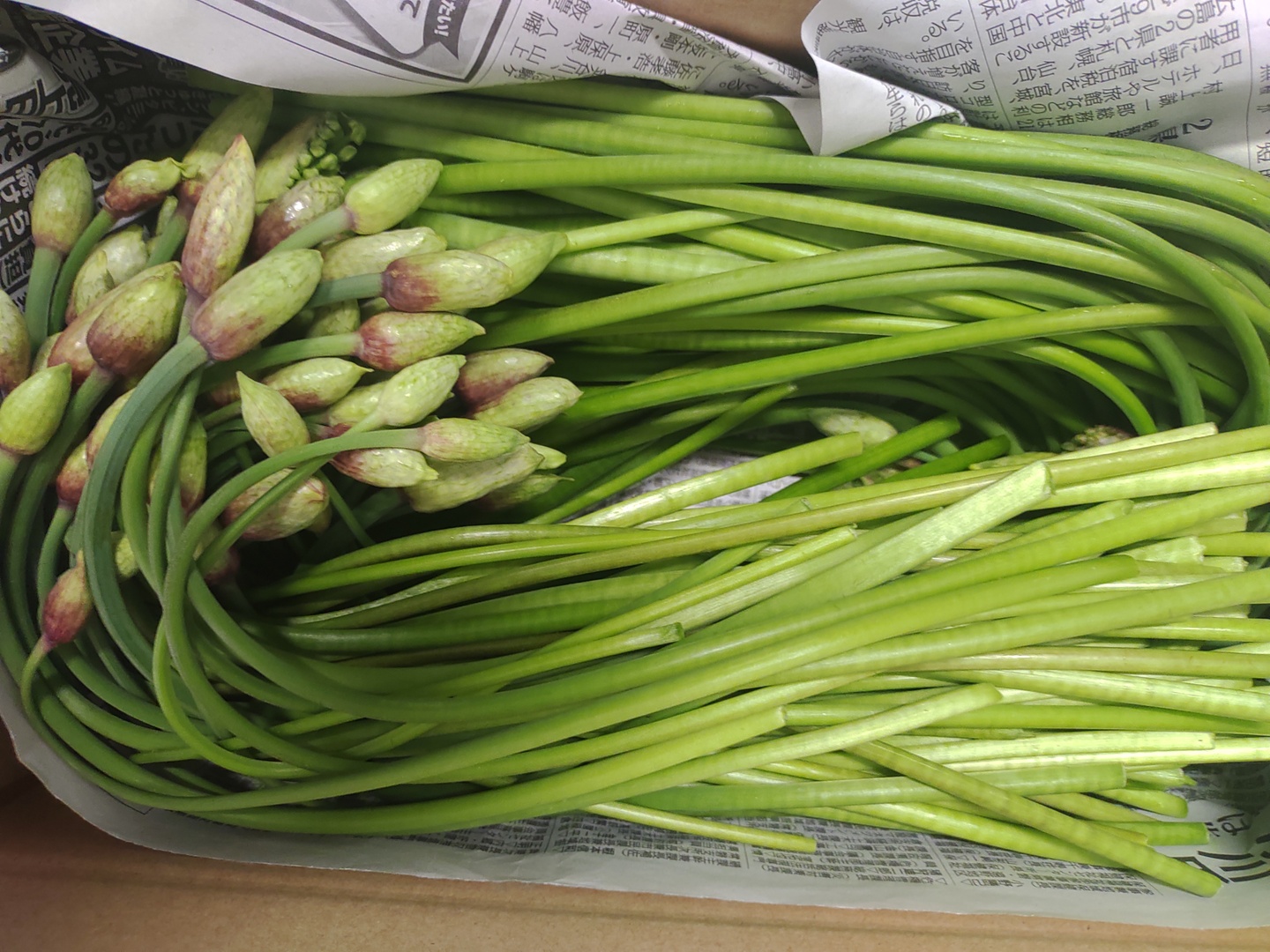 随時出荷中！行者にんにく花蕾1kg 90°に曲がった最高の状態 幻の