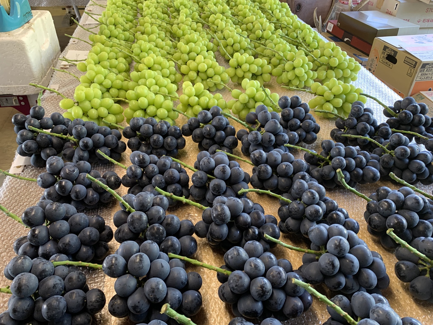 濃厚な甘さ！信州・上田産 🍇ナガノパープル（ご家庭用・2kg）：長野県