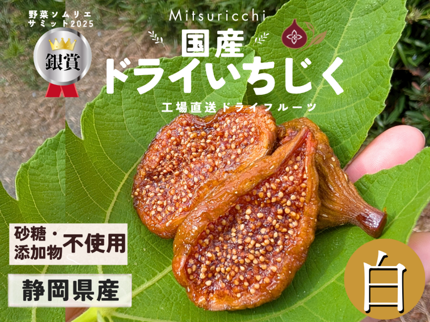 メール便 静岡県産 野菜ソムリエ銀賞 しっとりミツリッチ 白ドライ