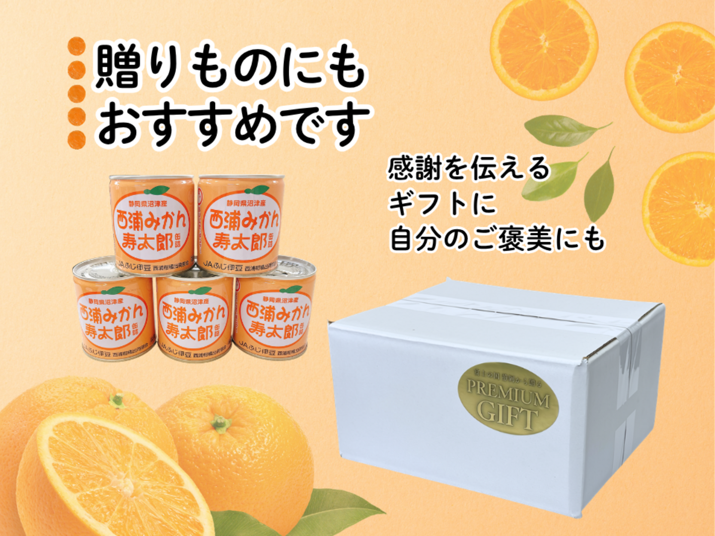 静岡県沼津産 西浦みかん寿太郎缶詰 10缶セット（固形量170g×10缶