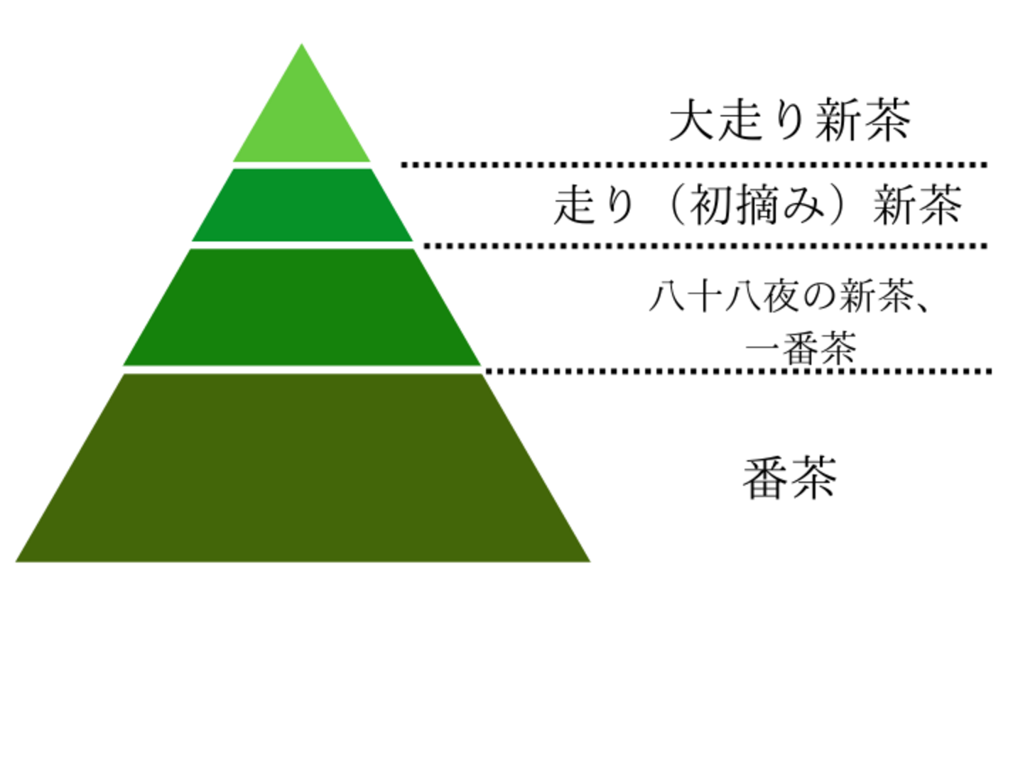 令和７年度新茶 令和7年 鈴鹿園の新茶 鈴鹿園