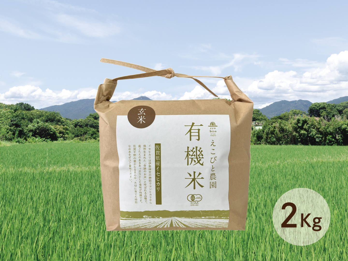 希少な幻のお米イセヒカリ2㎏【令和6年産】佐賀県産 有機米