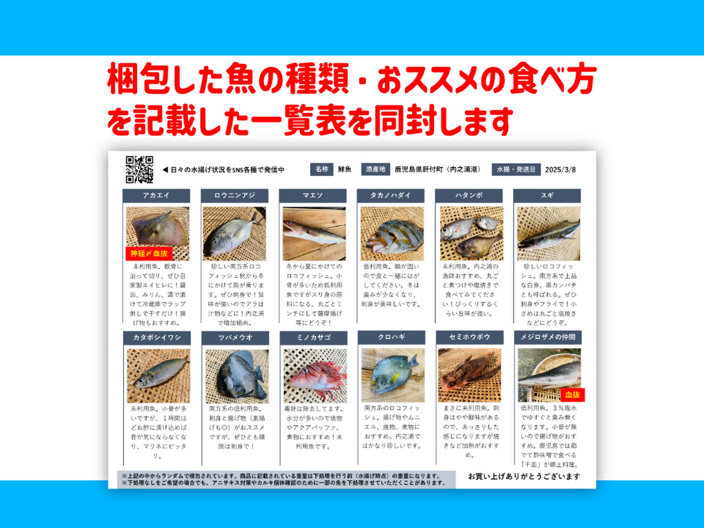 みーこさま  専用、鮮魚BOX 3a47c2d32f377ef6c20333a64dea46