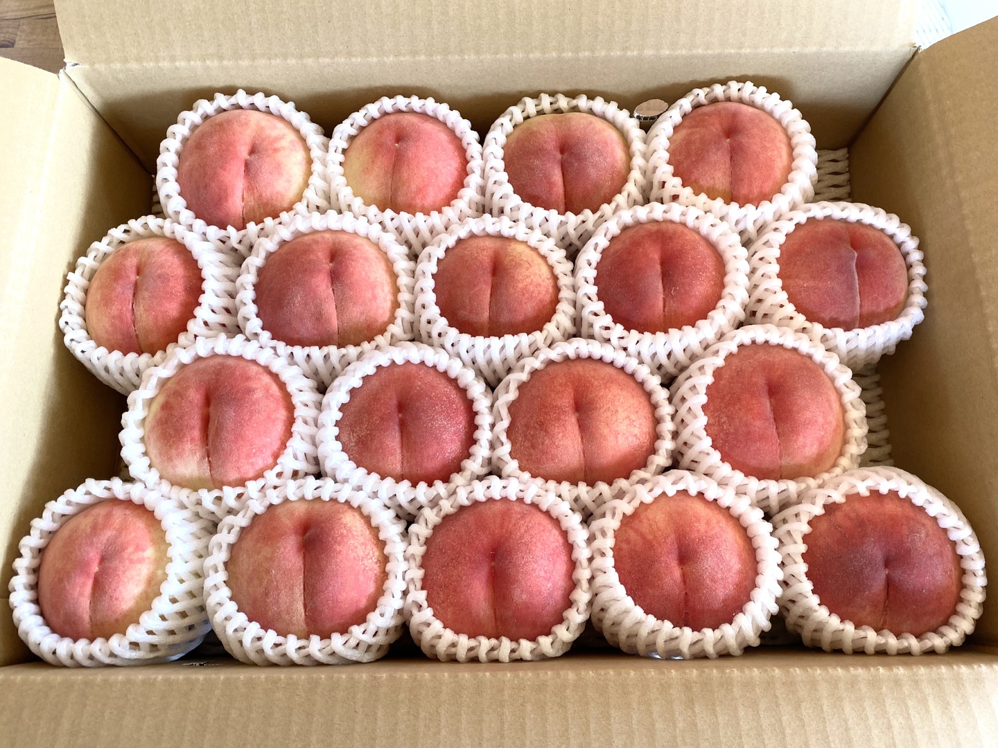 n 99.福島県産　特大硬め桃　5kg 贈答用可 0d37bf00ba9dc5e9ace70184c86b78