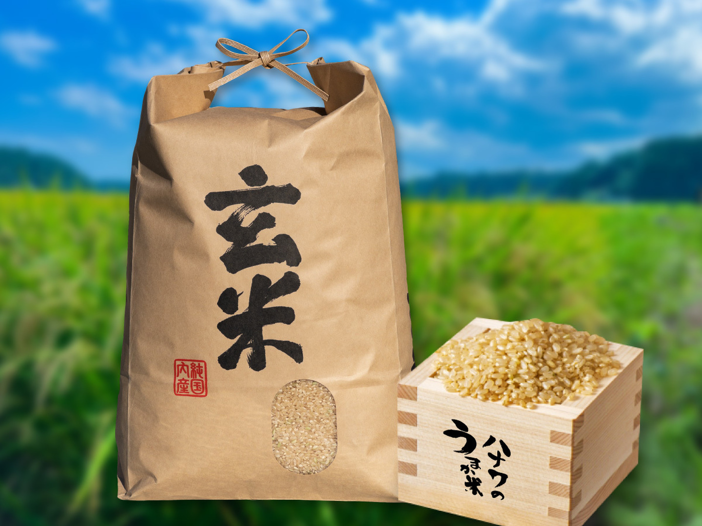 蒼月さま専用　一点物　お米　玄米10キロ 令和7年新米】8月上旬発送！お弁当や和食に合う「ふさおとめ