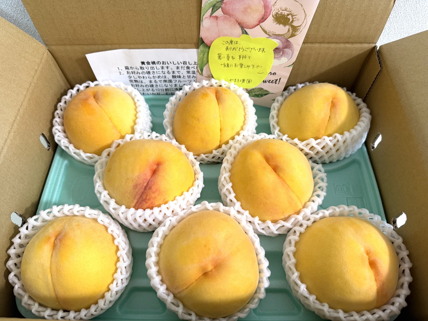 至極の一品。黄金桃 （約3kg）7~10玉：長野県産の黄桃｜食べチョク