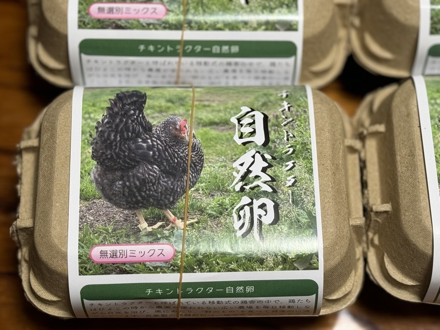 写真図説】1日で作れる！ 簡単・軽量な1万円のチキン