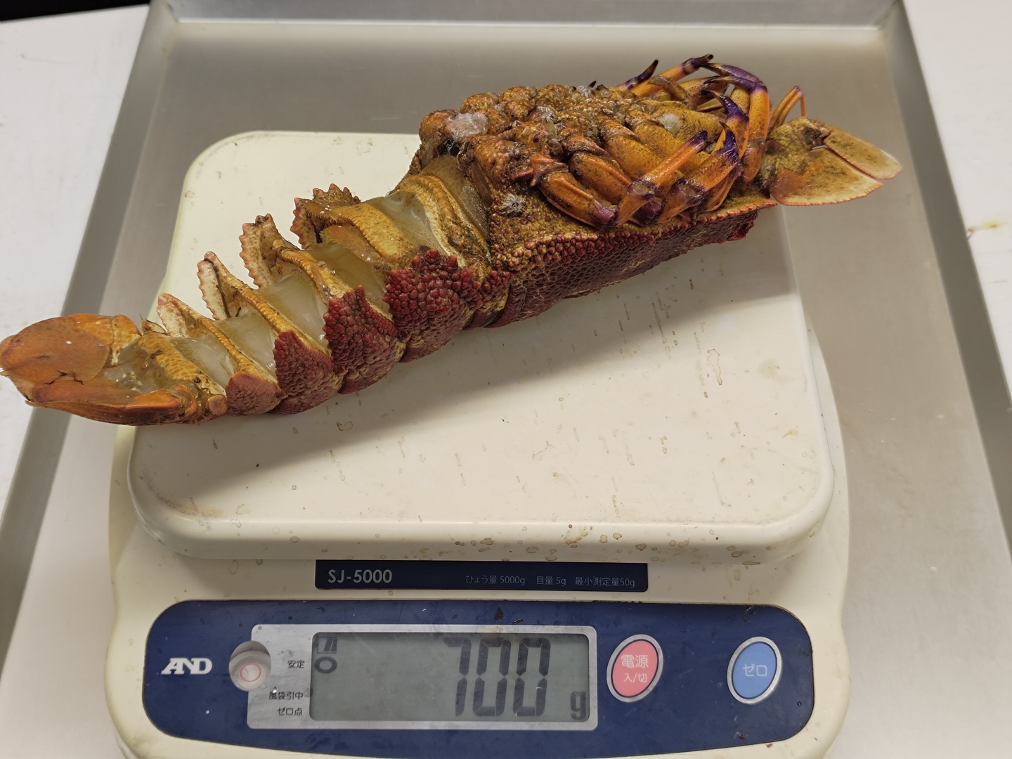 108ed256d209f348e099c01f570616