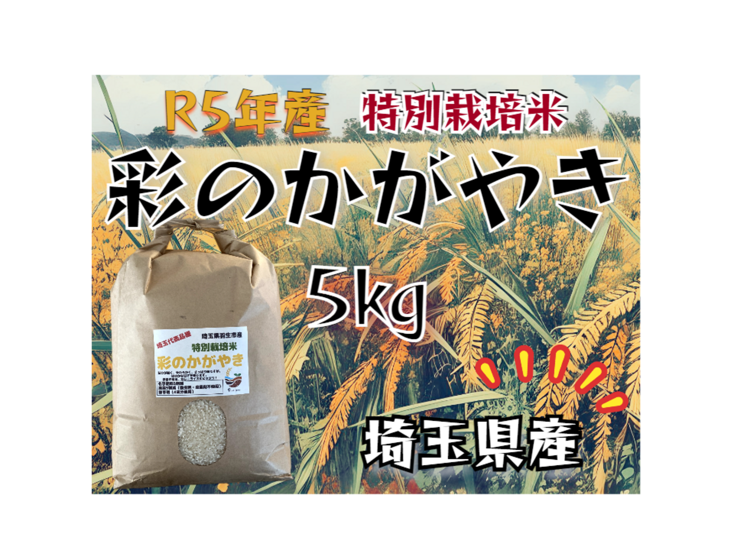 R5年産☆埼玉県産☆特別栽培米彩のかがやき 5㎏：埼玉県産の彩の