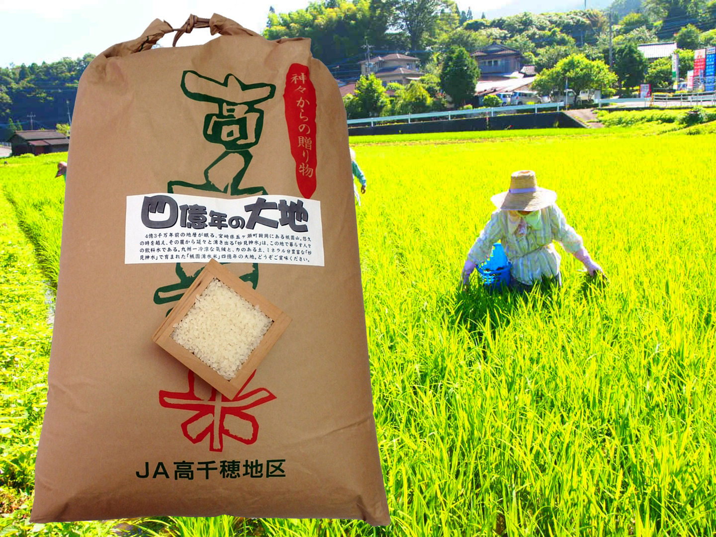 飼料用米　約25キロ 112b1b93ef26e04a0353aa0a5f4870