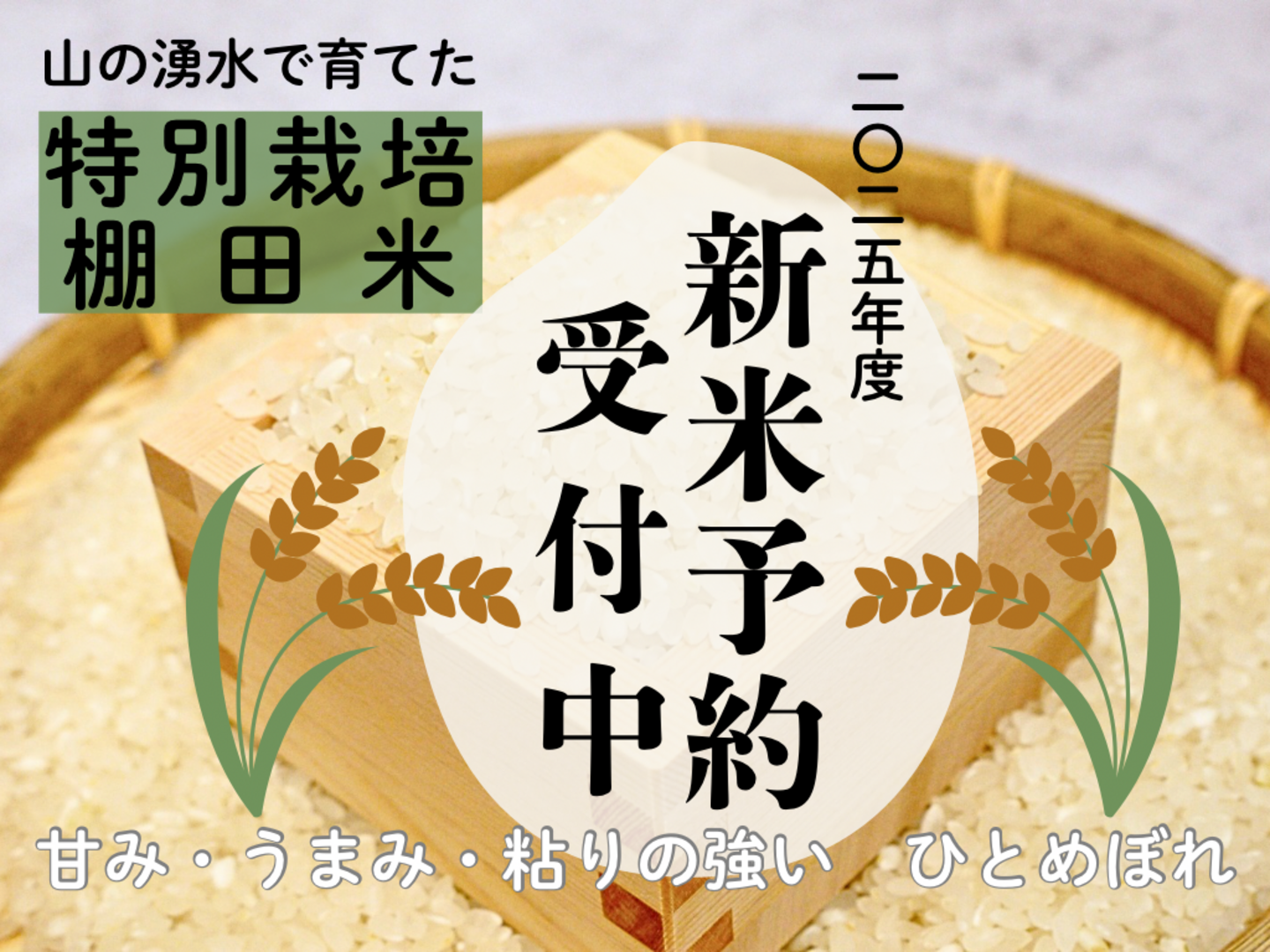 令和7年新米】湧水で育てた棚田米 ひとめぼれ 特別栽培米 大分県