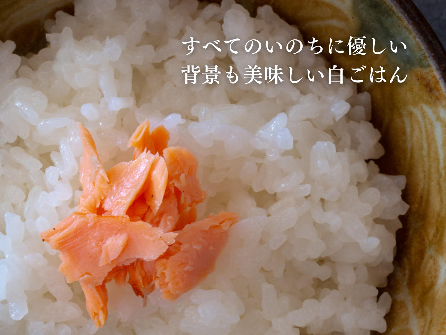 亀の尾 玄米 5kg（R5年産） | LiveliFood（ライブリフード）