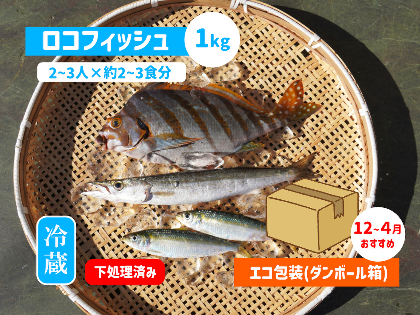 みーこさま専用  鮮魚BOX 下処理⇒即日発送！ロコフィッシュ鮮魚ボックス1kg【エコ包装