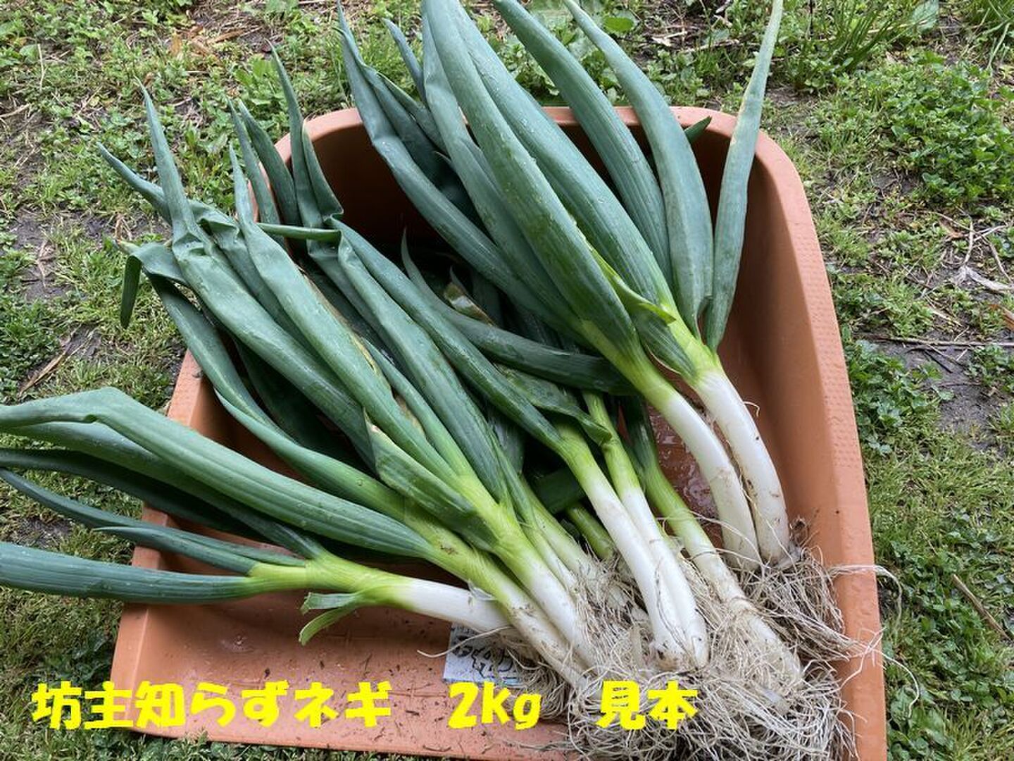 14e42ce82b4d5c200dd7541c882376