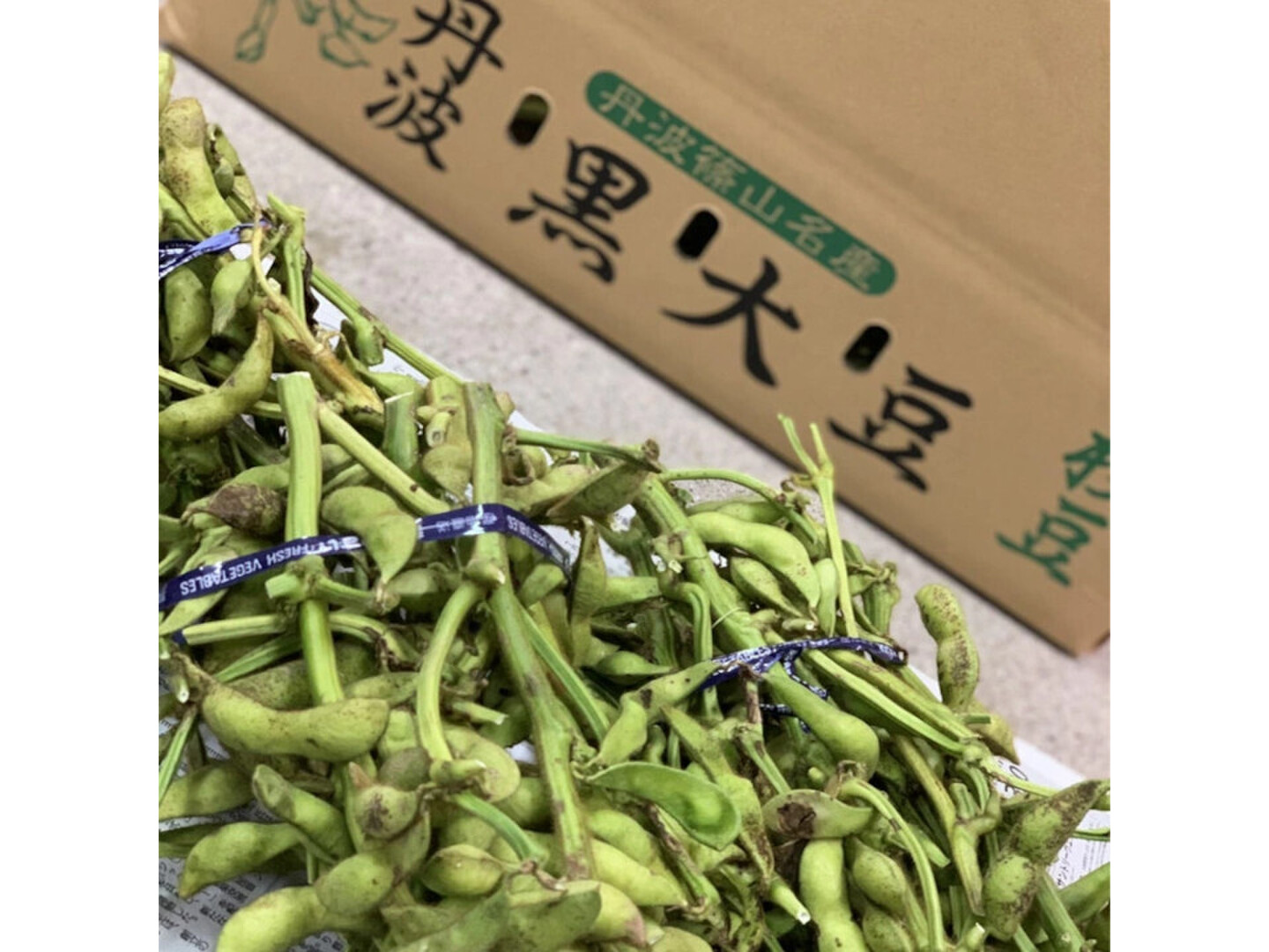 丹波篠山 黒枝豆 枝豆 丹波 黒豆 600g × 3 丹波篠山産 2025年