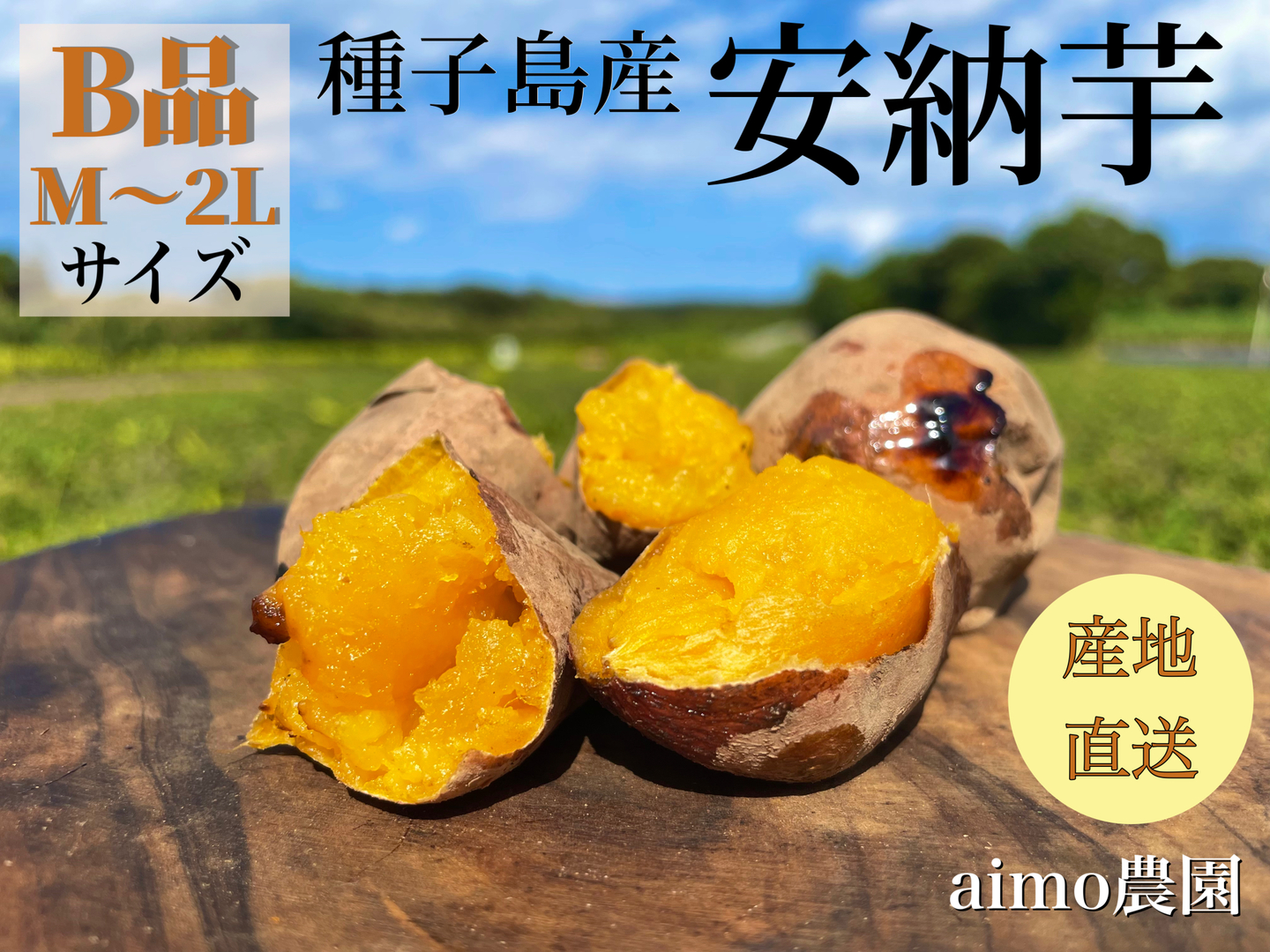 種子島産安納芋　Mサイズ20kg 2 154727991687e2f55cfacfada1a7e4