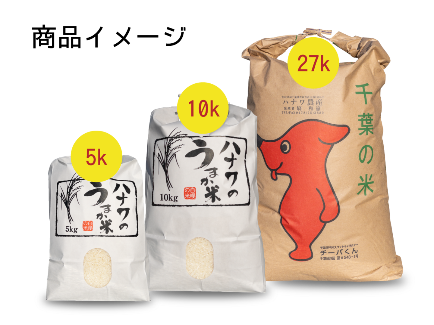 令和4年 古古米 玄米 高知県産 コシヒカリ ④ぽんちゃん様専用