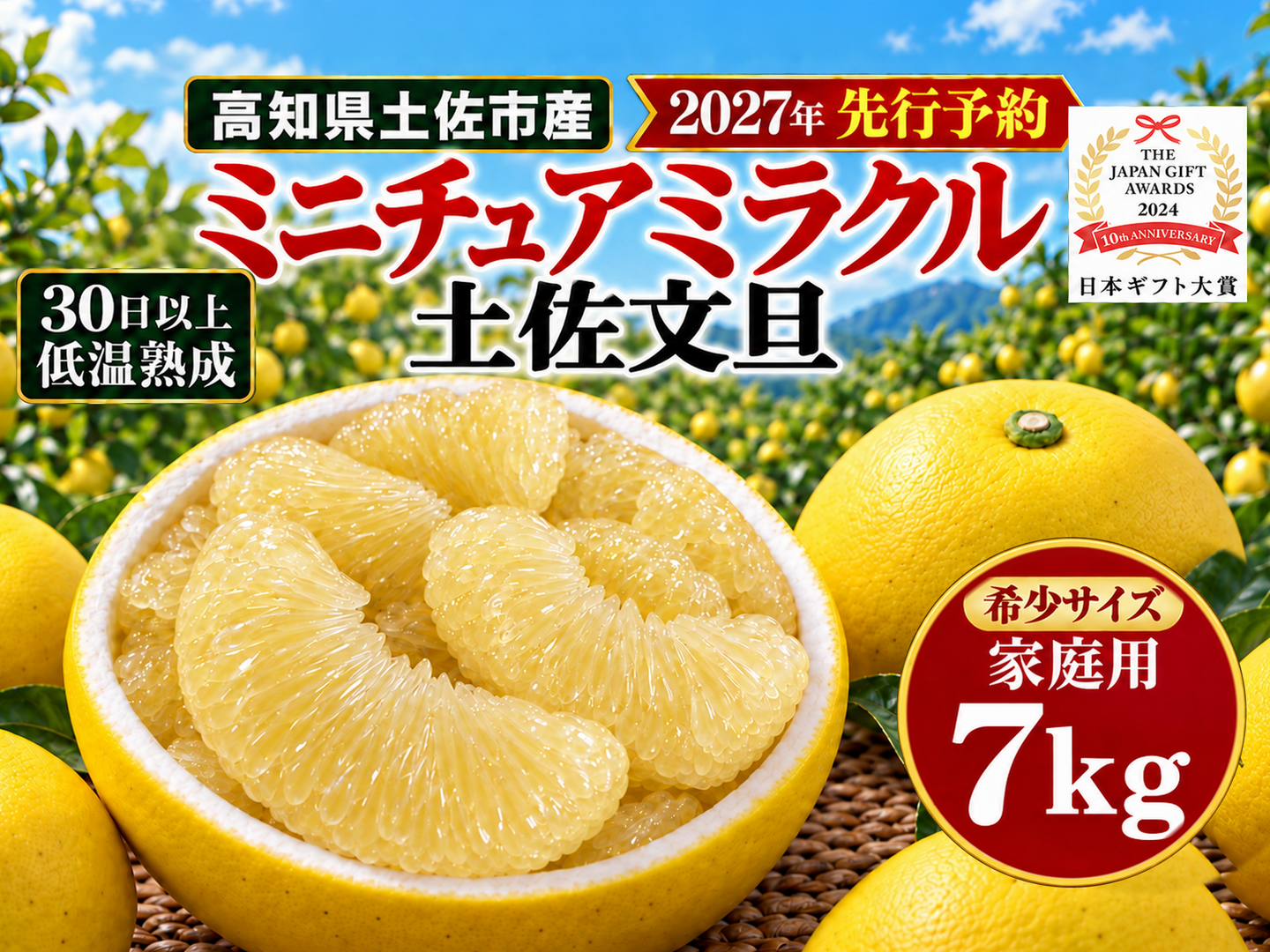 土佐文旦 ミニチュアミラクル7kg 家庭用｜希少な食べ切りサイズ｜約23