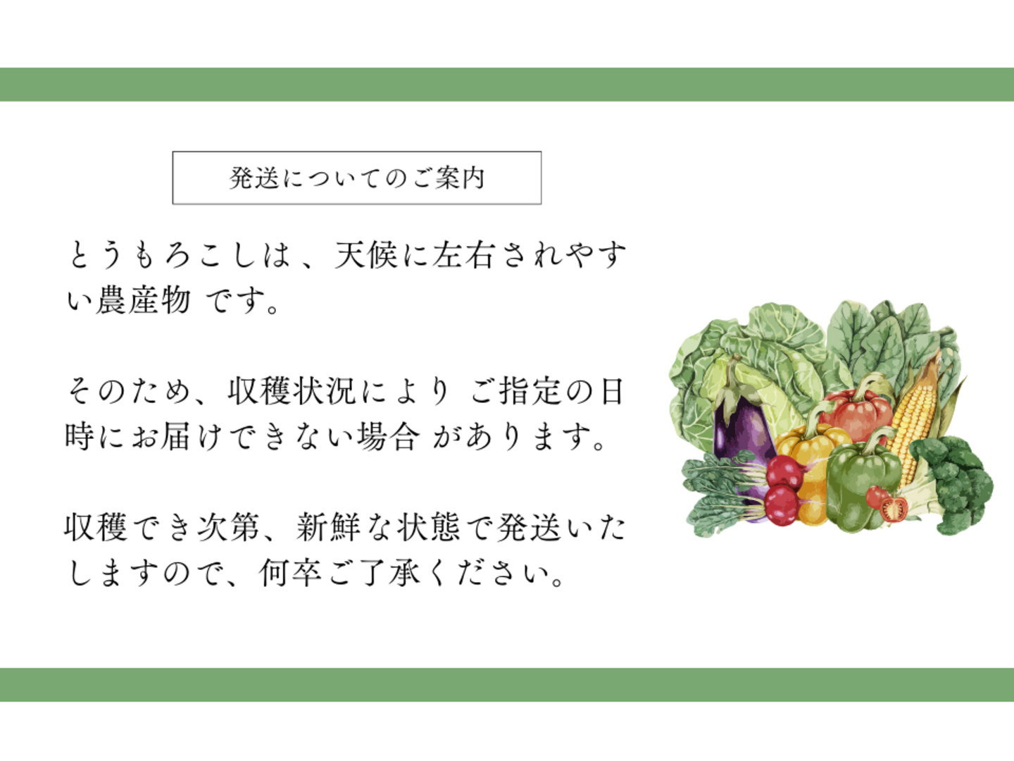 🌽夏ギフト🎁】 ＼生で食べられる白い宝石🌽／ 中津川産