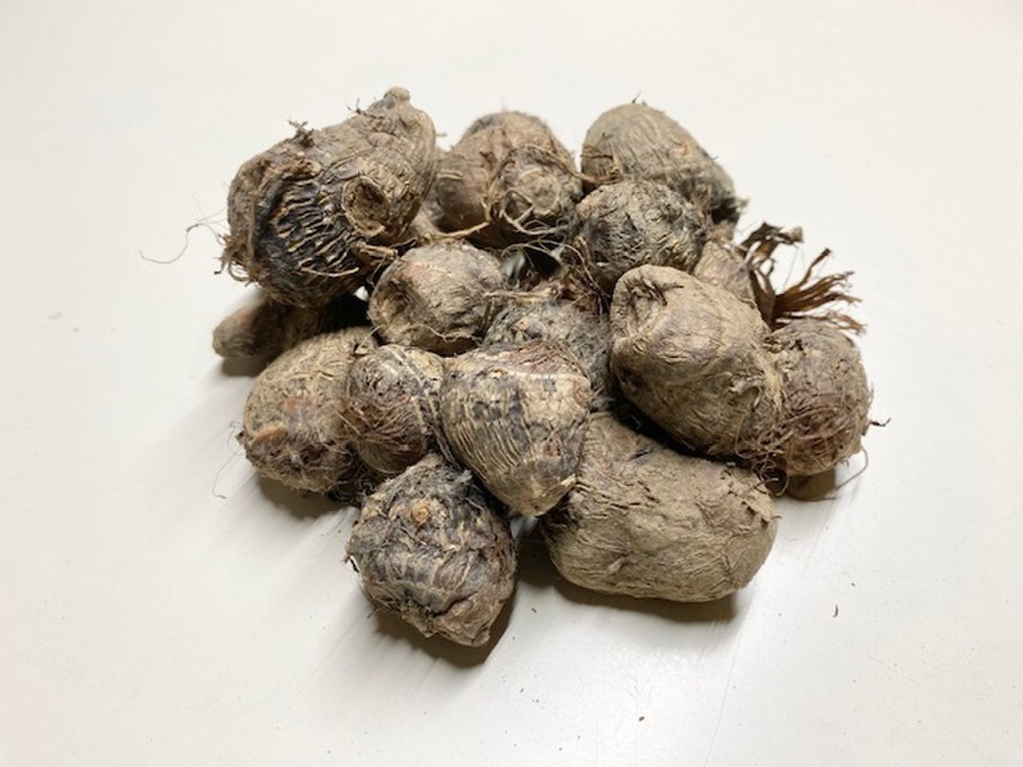 農薬・除草剤・化学肥料不使用 里芋 （超小粒）さといも