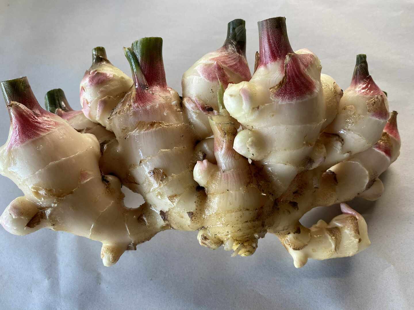 スーパーでは手に入らない新しょうが（農薬化学肥料不使用）1kg