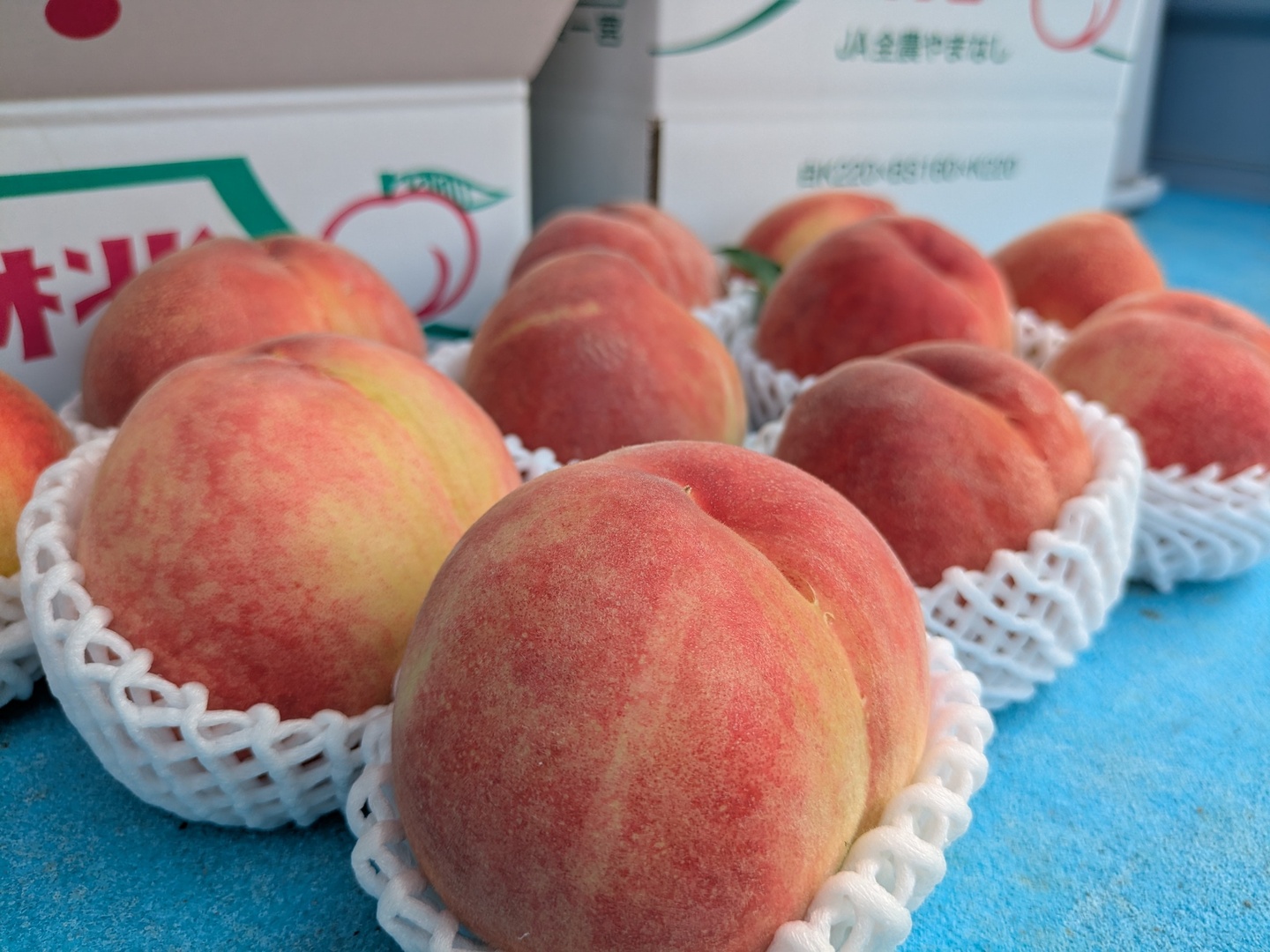 マロン⭐️山梨県産桃日川白鳳⭐️はねだし 家庭用⭐️2箱セット 箱込み約10キロ 🌟【山梨県笛吹市産】桃プレミアム日川白鳳 2.0kgセット🌟：山梨