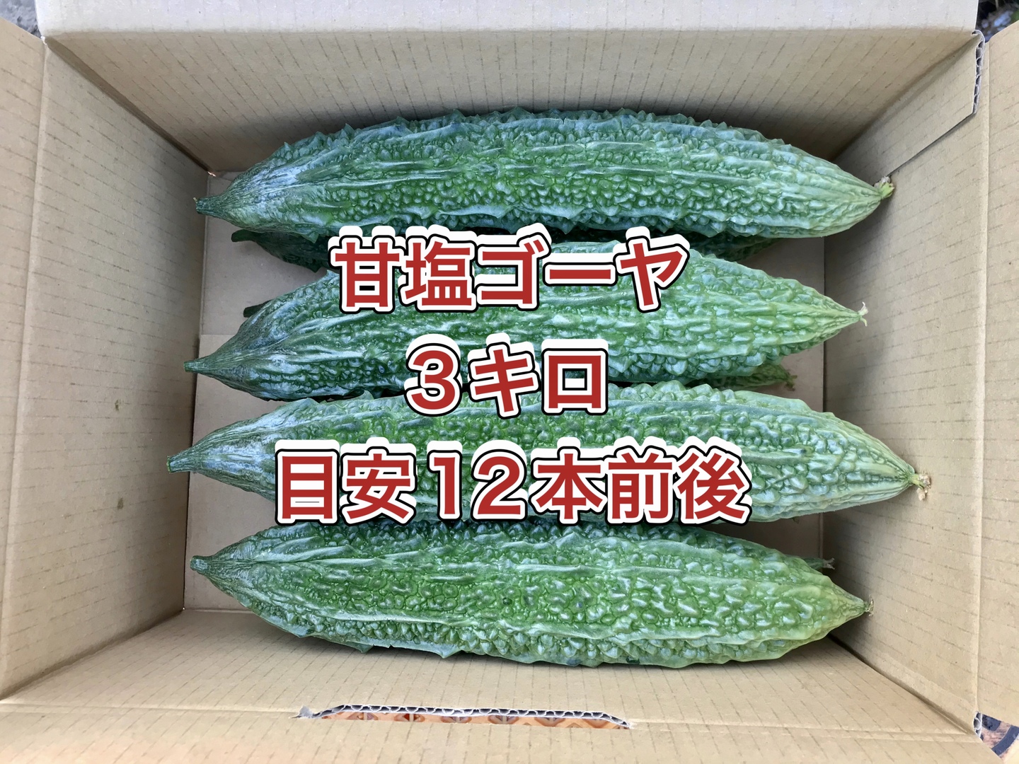 【鹿児島産】甘塩ゴーヤ箱込み3キロ^_^ 2811039c30e639134fc8c584194bb0