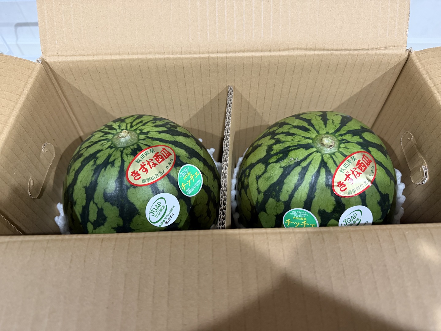 本日16時まで受付8/12発送限定 小玉すいか あきた夏丸チッチェ2玉（2