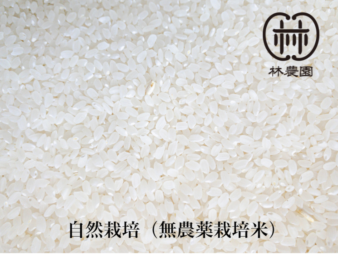 【数量は多】 農薬不使用栽培・ヒノヒカリ白米10㎏（令和6年10月収穫・未検査 その他