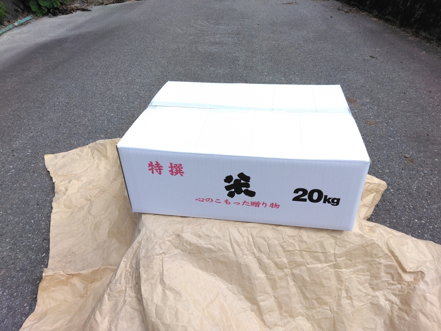 飛騨産コシヒカリ玄米２０キロ　生産農家直送 R.7新米｢飛騨コシヒカリ｣玄米20㎏：岐阜県産のお米｜食べチョク