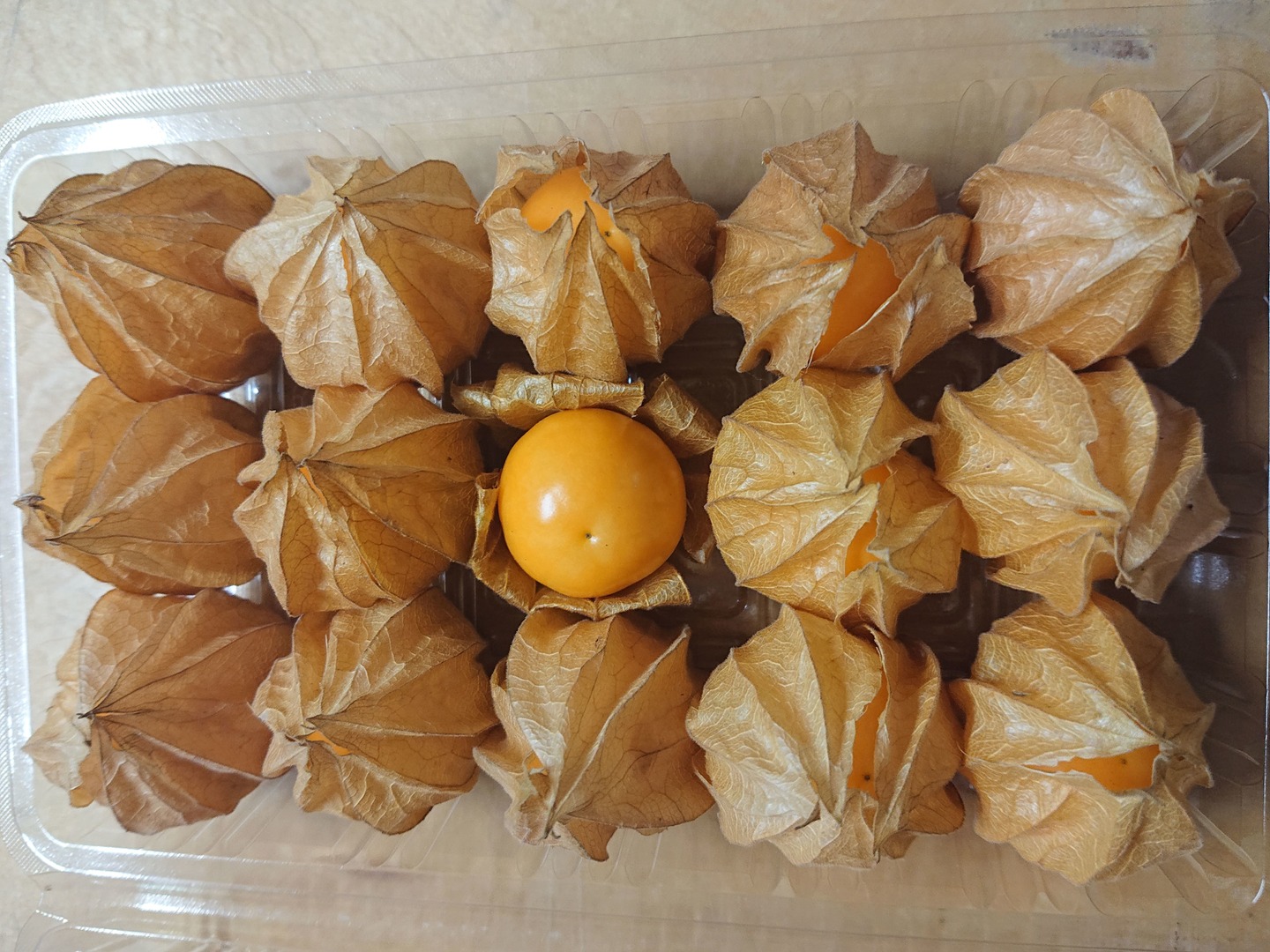 食用ほおずき　100個　農薬不使用 2eb40beee0fad018508e998a566738