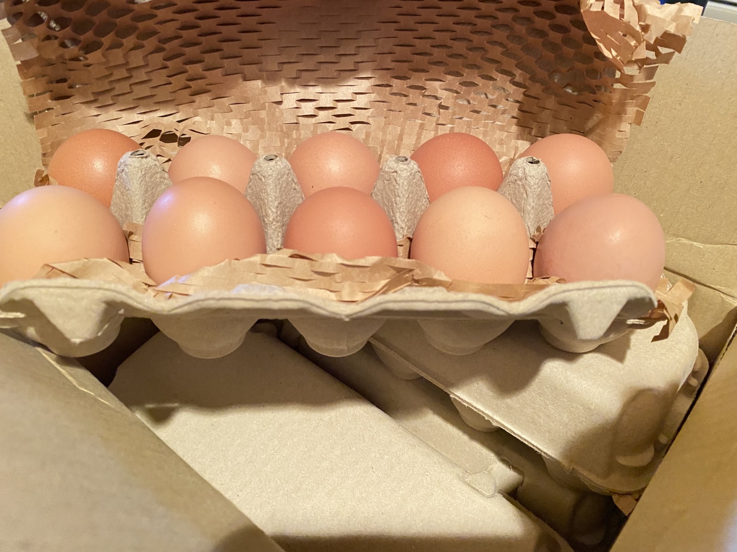 出荷当日の朝採り新鮮お届け致します☆ 平飼い濃厚卵 岡崎おうは