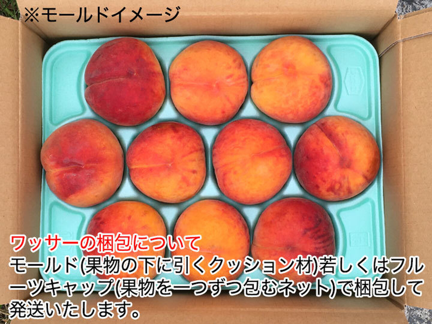 いかさん　ワッサー5kg 8月上旬〜中旬 ワッサー 桃 訳あり 減農薬 長野県産 5キロ : Su