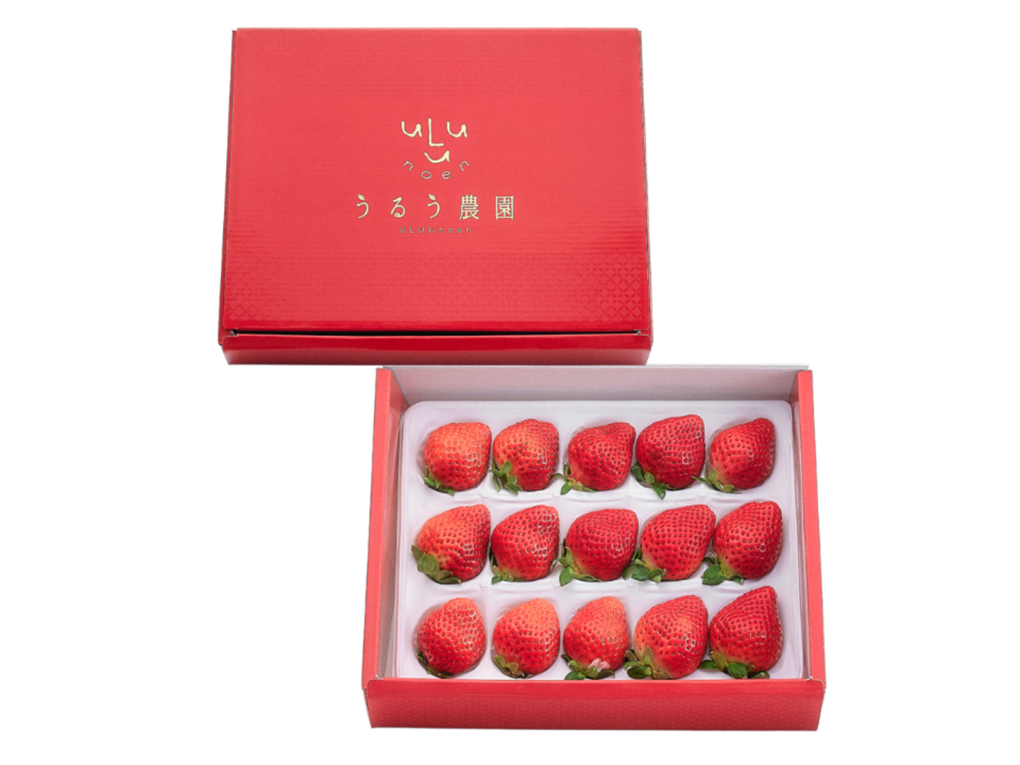 予約販売 2026年11月下旬～順次発送】特選あまおう 400g ギフト