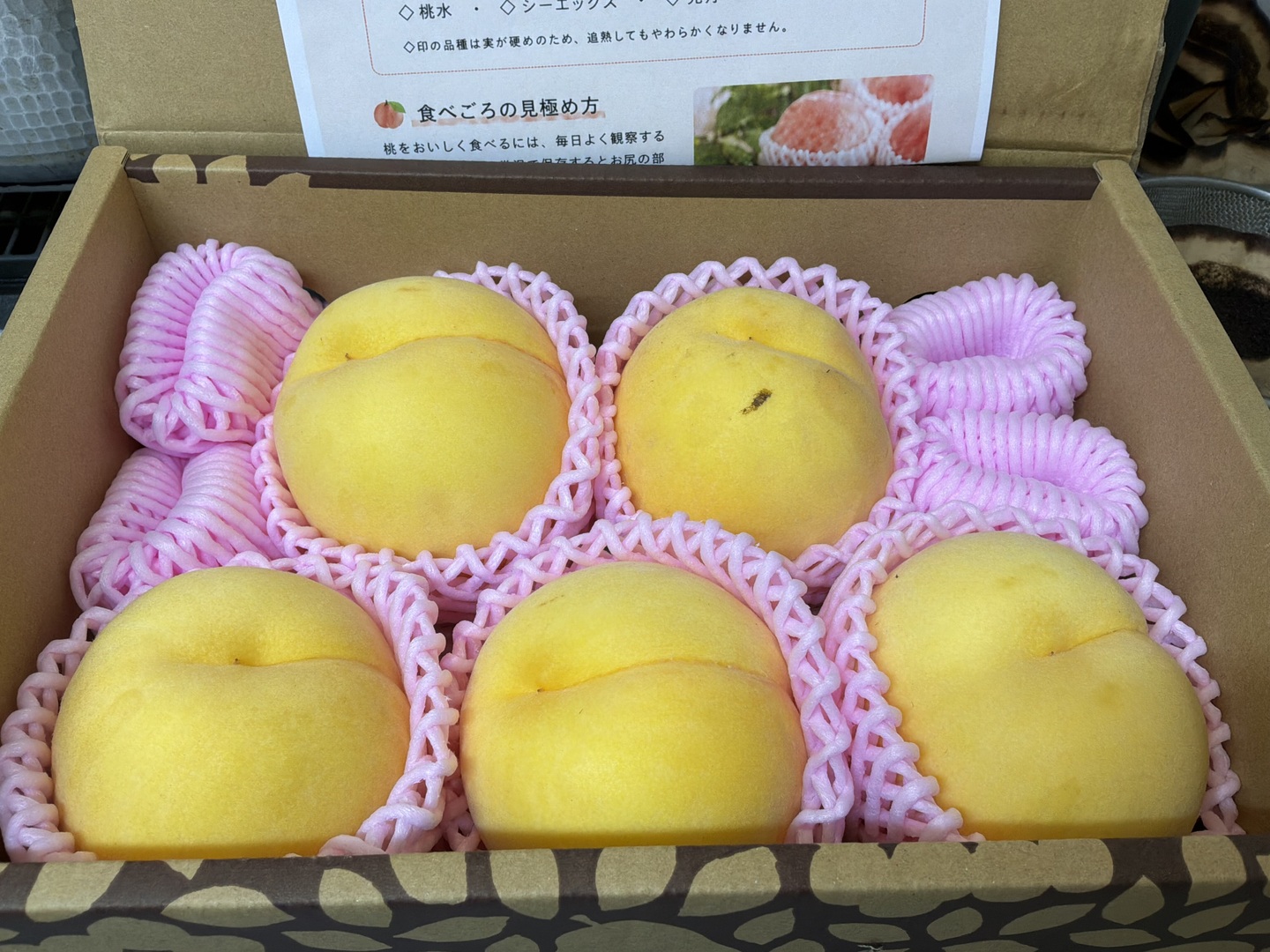 訳ありよりもお買得！超訳あり品 【限定100箱】 白桃・黄桃 品種