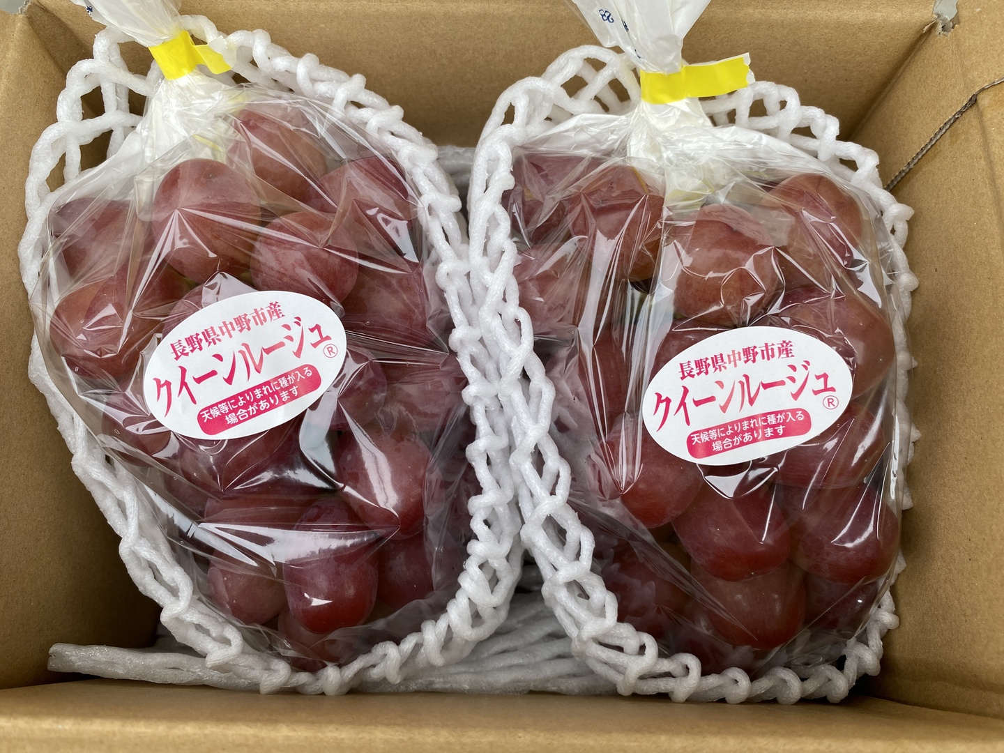 家庭用】クイーンルージュ約1kg(2〜3房)☆長野県限定品種☆発送9月中旬