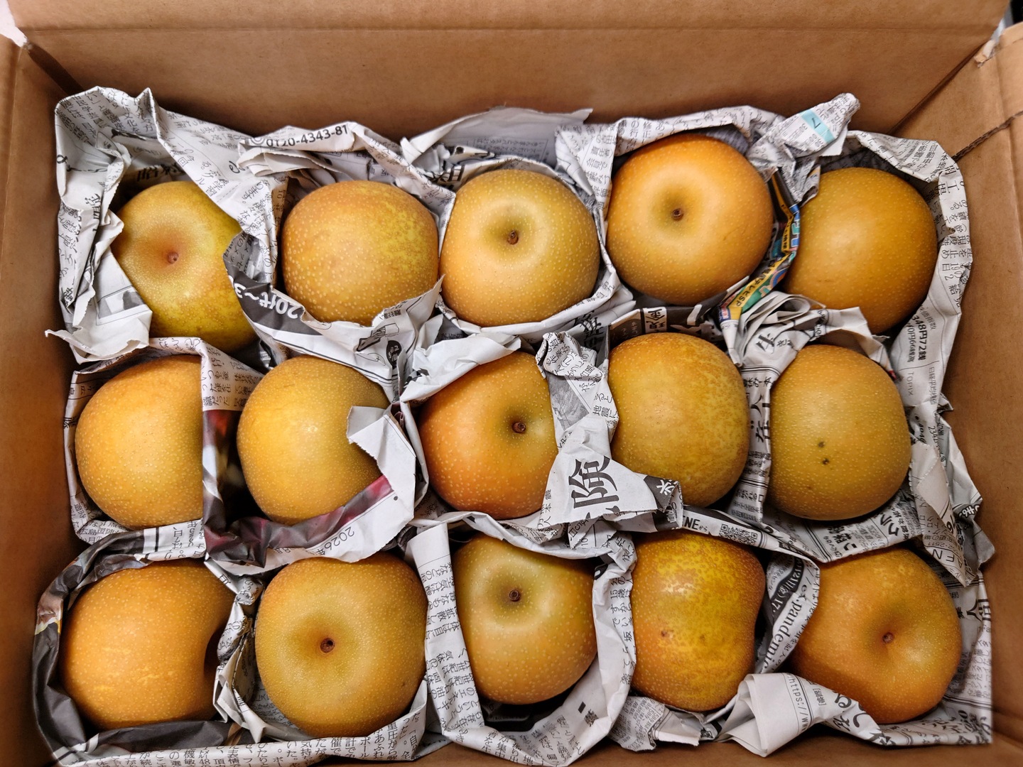 幸水】ミニサイズ梨を格安で🍐【家庭用】約3.5Kg：千葉県産の幸水