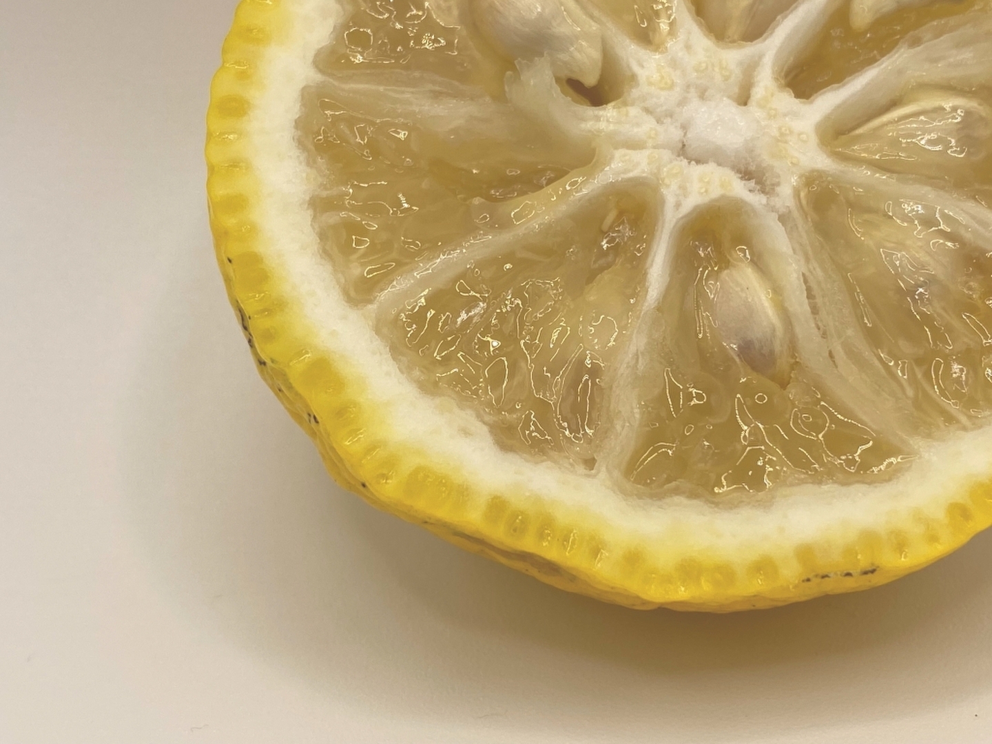 ミカン科ミカン属ユズ
