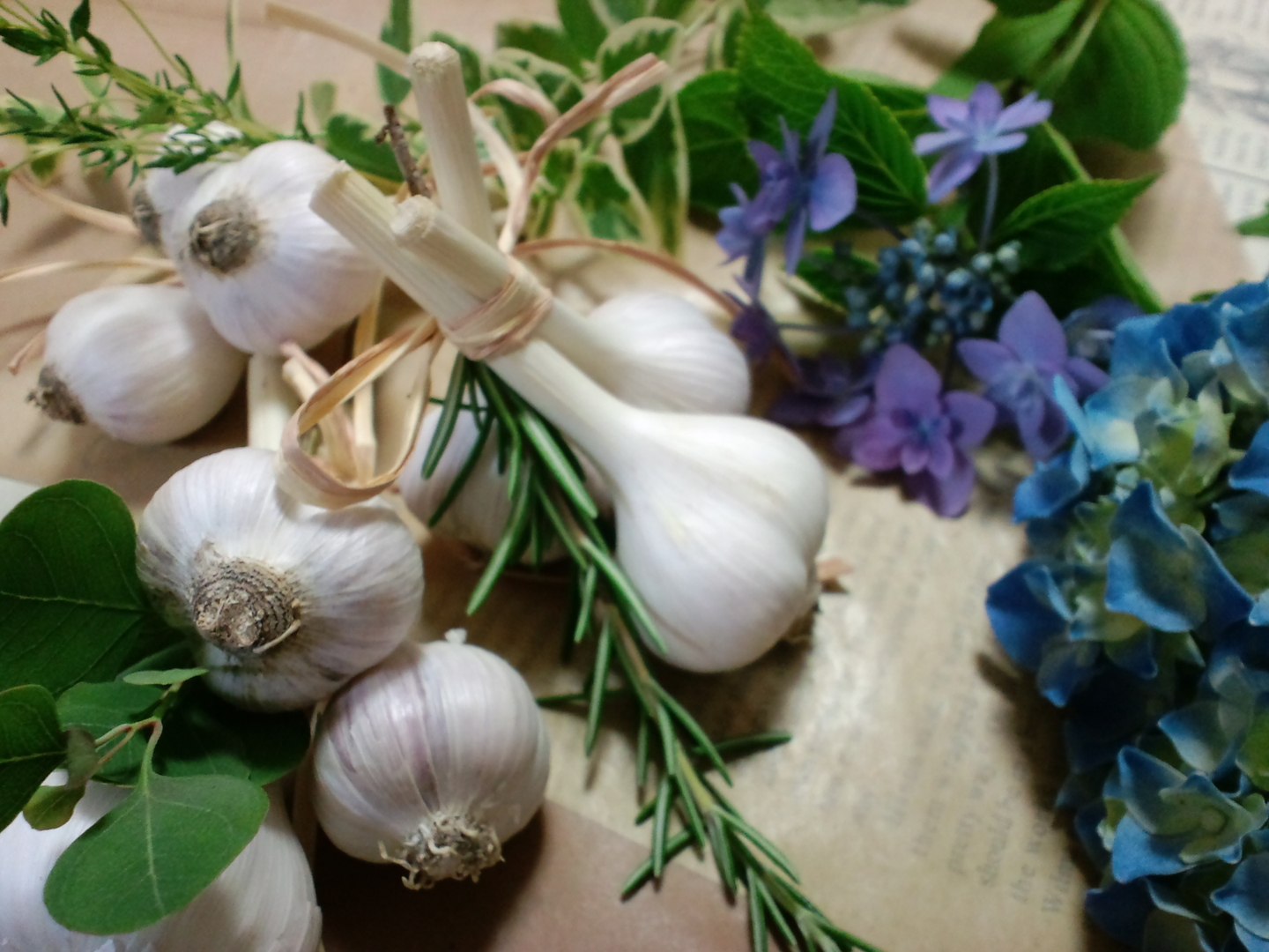 にんにく糀づくりに】自然栽培ニンニク1kg【農薬不使用】：愛知