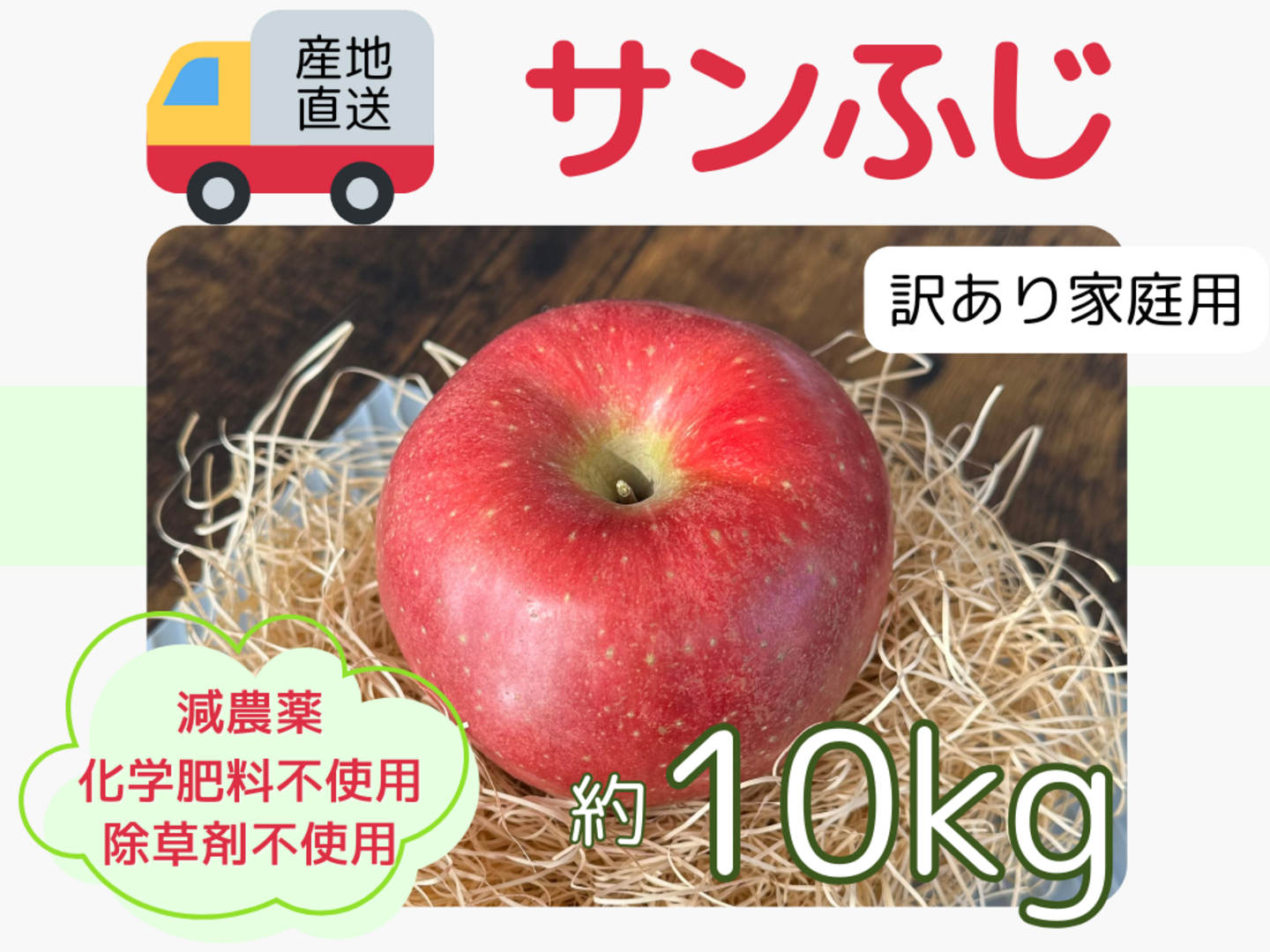 【人気沸騰】 生産農家直送 りんご サンふじ 訳あり 家庭用 10kg 長野県産 果物