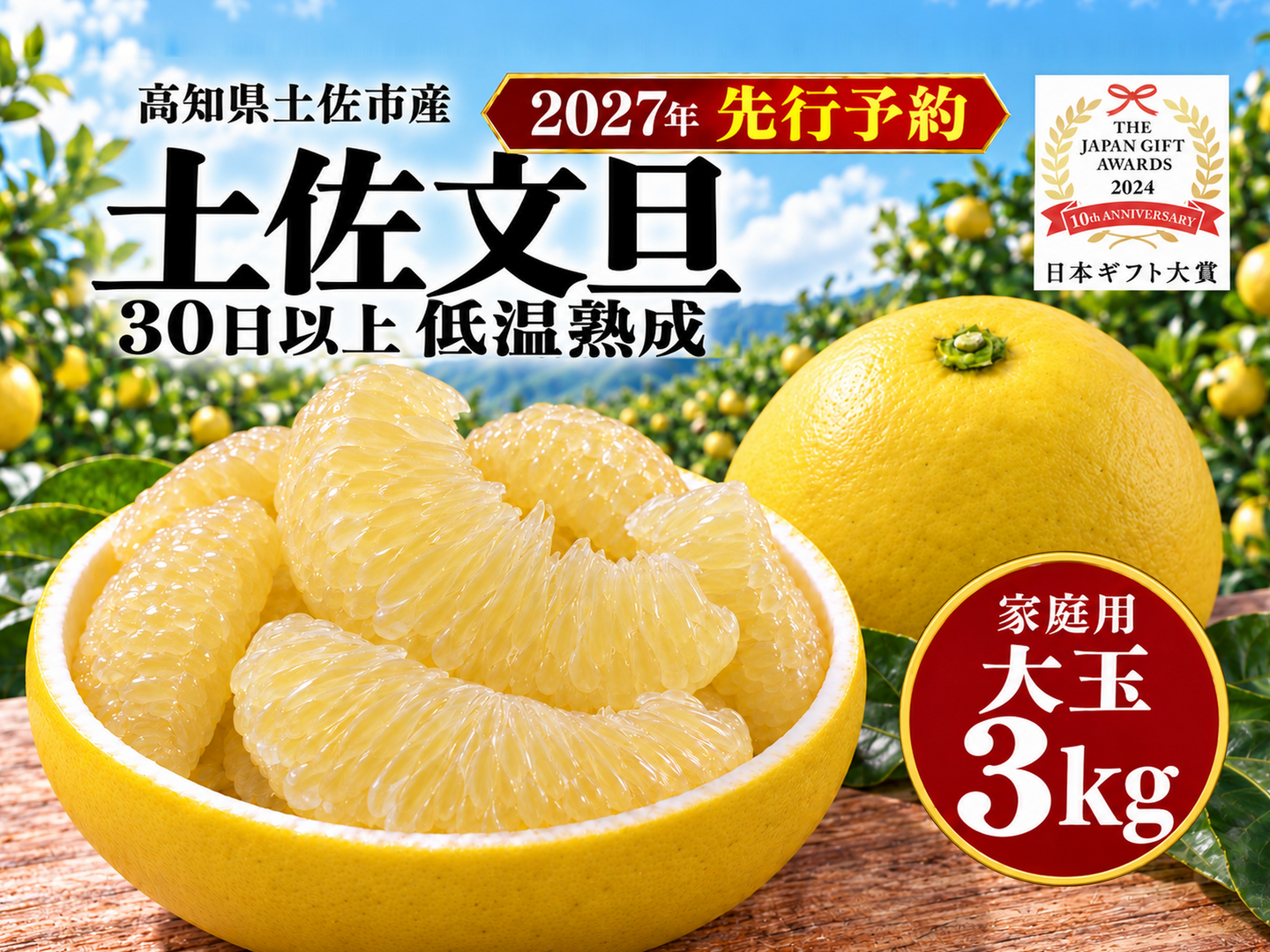 土佐文旦 大玉3kg 家庭用｜ひと房ごとの食べ応え｜約5～7玉｜発祥の地