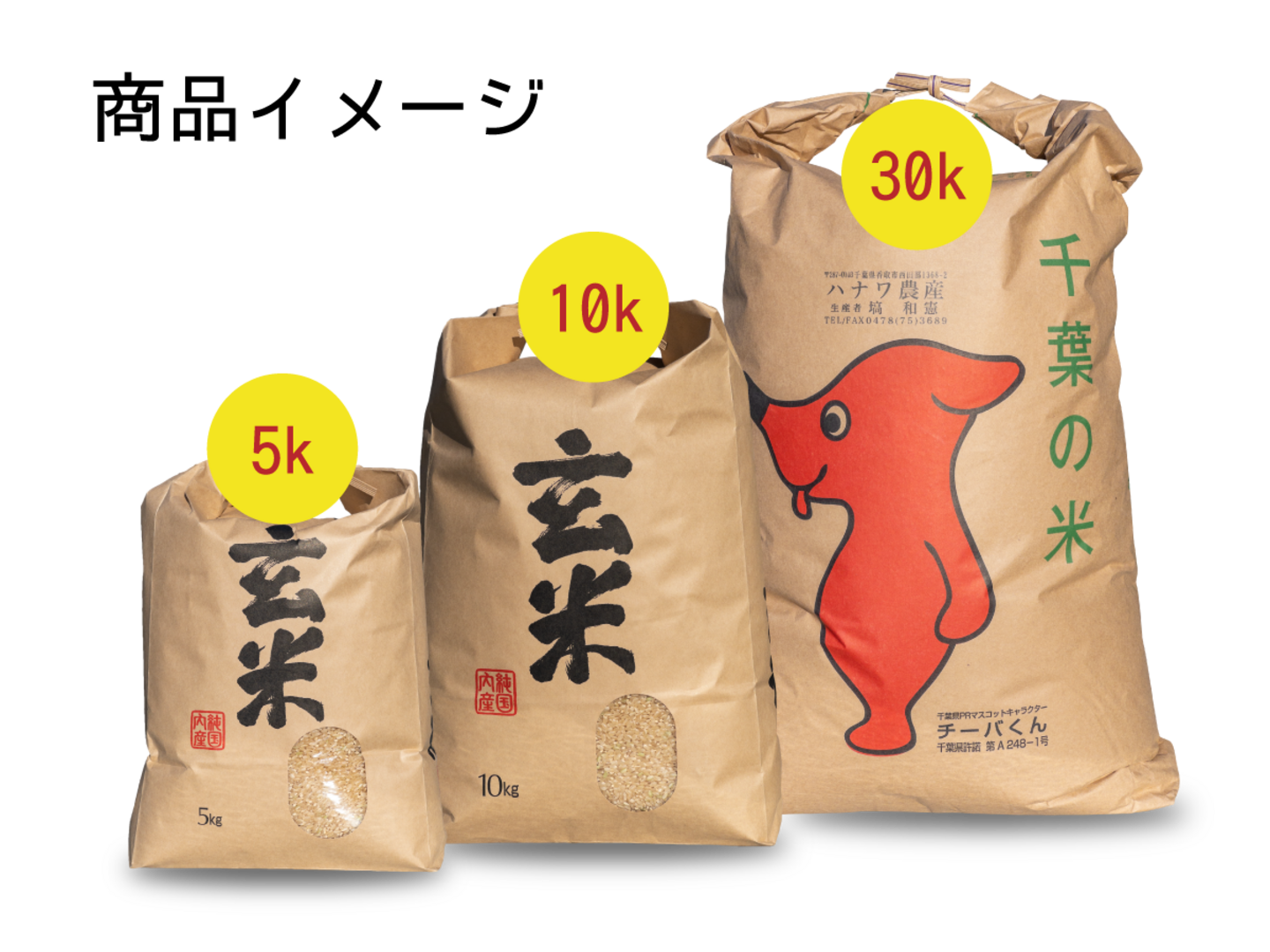 玄米 10kg ミルキークイーン 石川県産 令和6年 新米 5kg×2袋 10