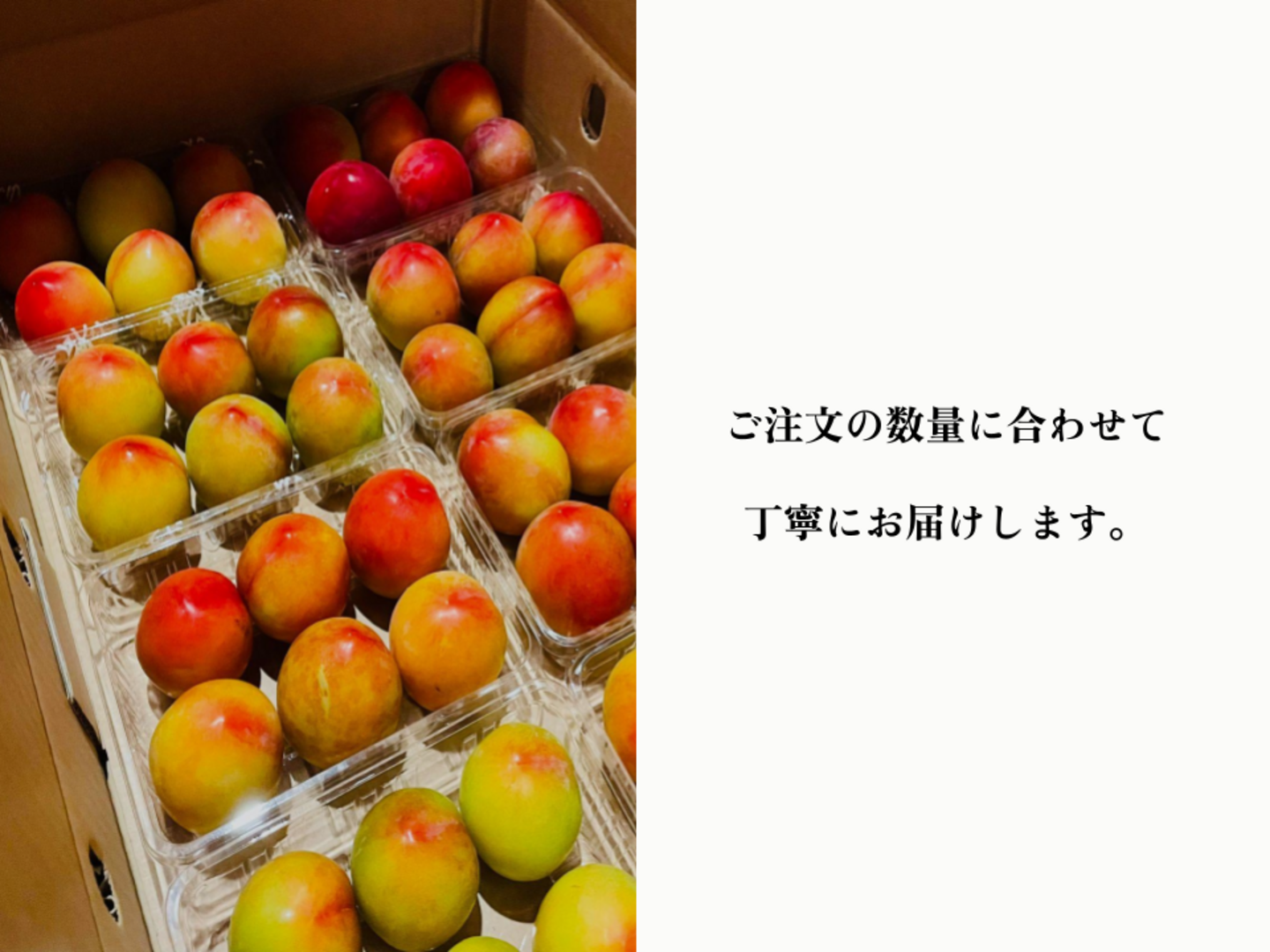 2025年先行予約】お菓子作りには絶対コレ!【大石】おうち用 2025年先行予約】お菓子作りには絶対コレ!【大石】おうち用