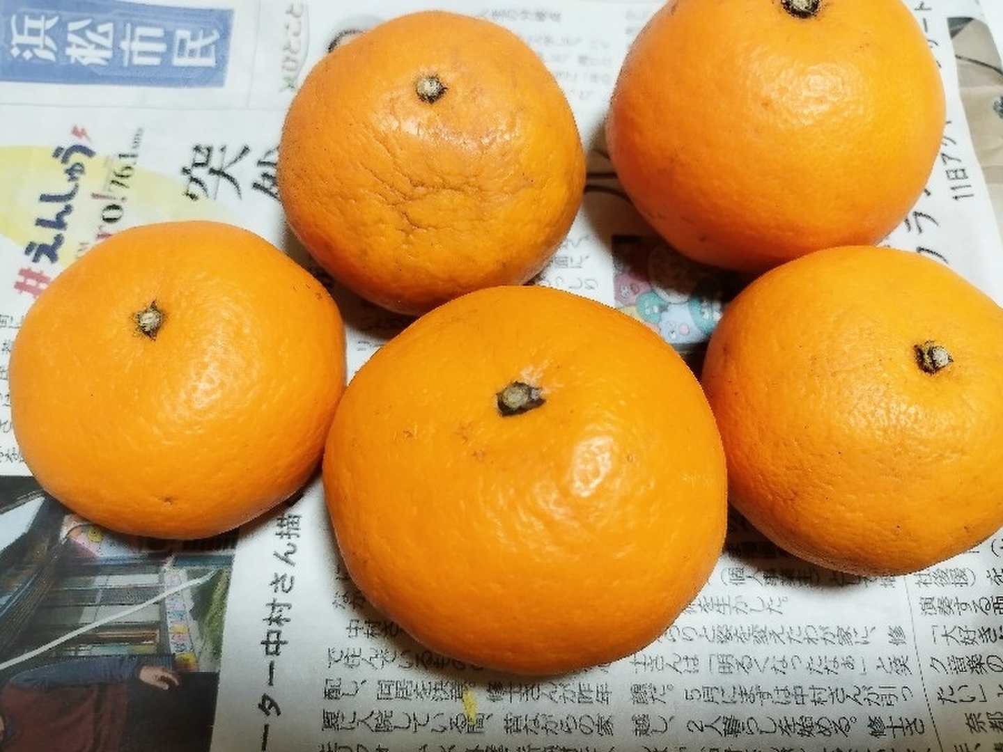 なつみ~濃美味（こい）しい柑橘1.8㎏：静岡県産のみかん・柑橘類