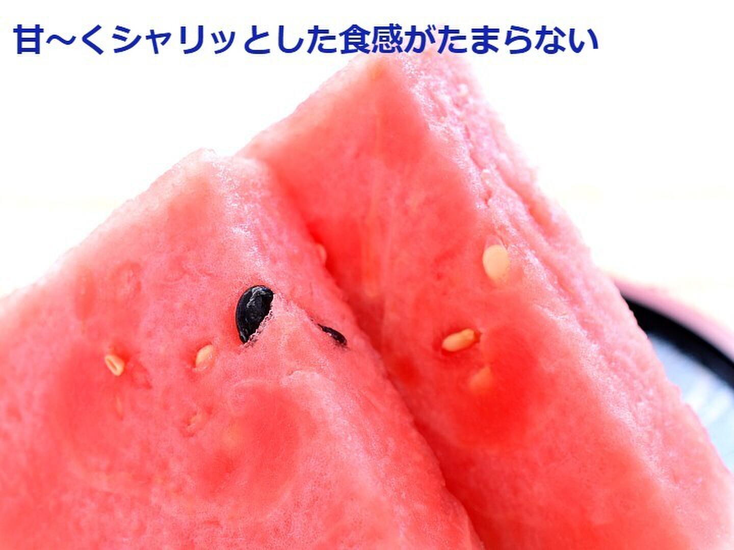 予約受付】甘～い尾花沢大玉夏すいか L x1玉 (羅王ザ