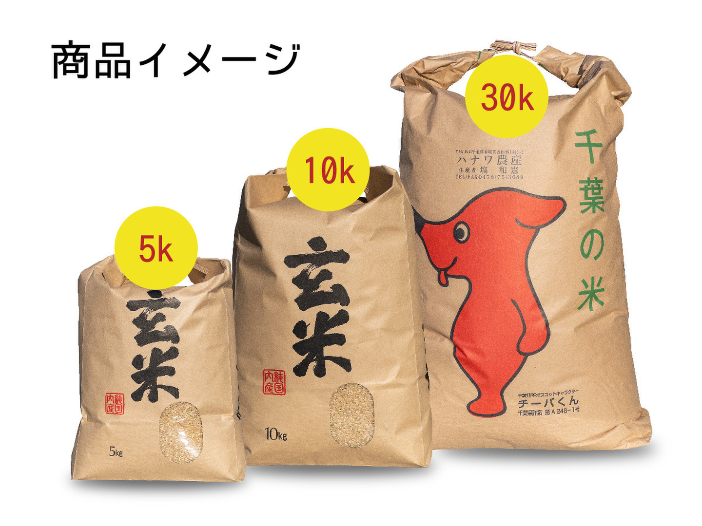 としゆきくんさん専用　ふさおとめ 新米令和六年度 玄米30kg としゆきくんさん専用 ふさおとめ 新米令和六年度 玄米30kg