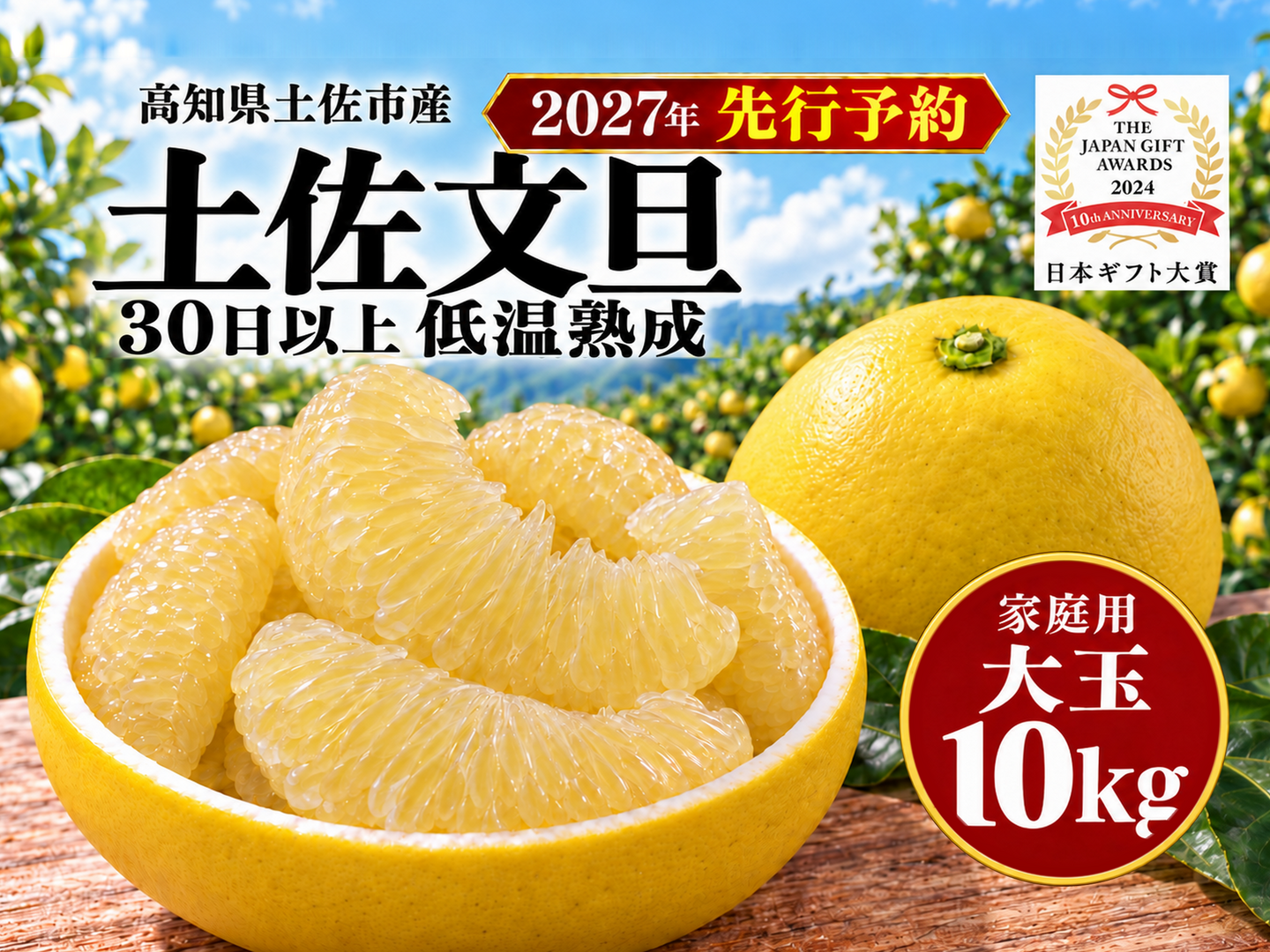 土佐文旦 大玉10kg 家庭用｜ひと房ごとの食べ応え｜約17～24玉｜発祥の